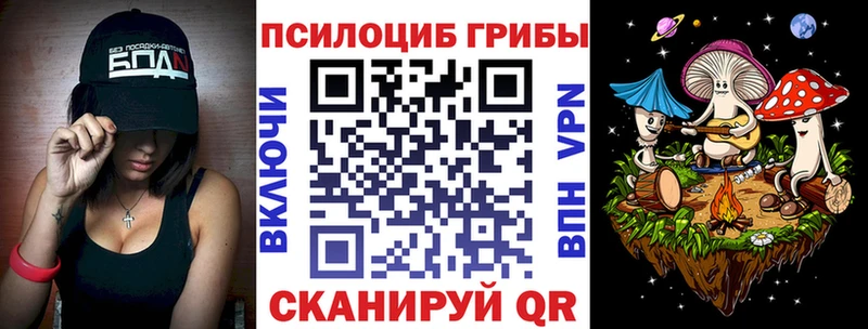 Псилоцибиновые грибы Magic Shrooms  как найти закладки  kraken маркетплейс  Перевоз 